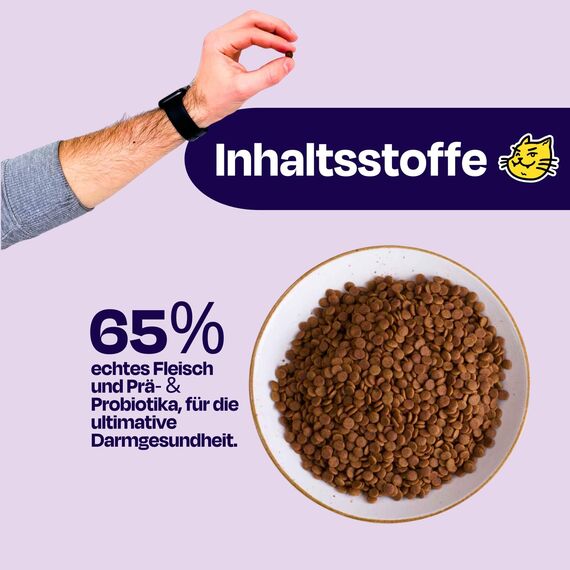 The Better Cat Super Premium Trockenfutter für Katzen | Getreidefreies Katzenfutter Trocken | Hoher Fleischanteil | Ohne Zucker | Mit Probiotika (1kg, Lachs)