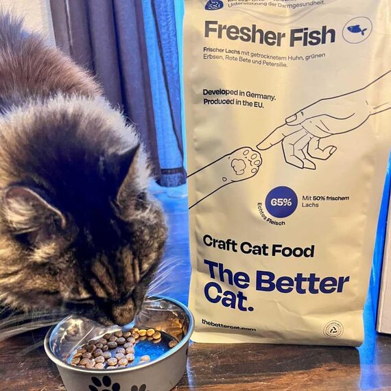 The Better Cat Super Premium Trockenfutter für Katzen | Getreidefreies Katzenfutter Trocken | Hoher Fleischanteil | Ohne Zucker | Mit Probiotika (1kg, Lachs)
