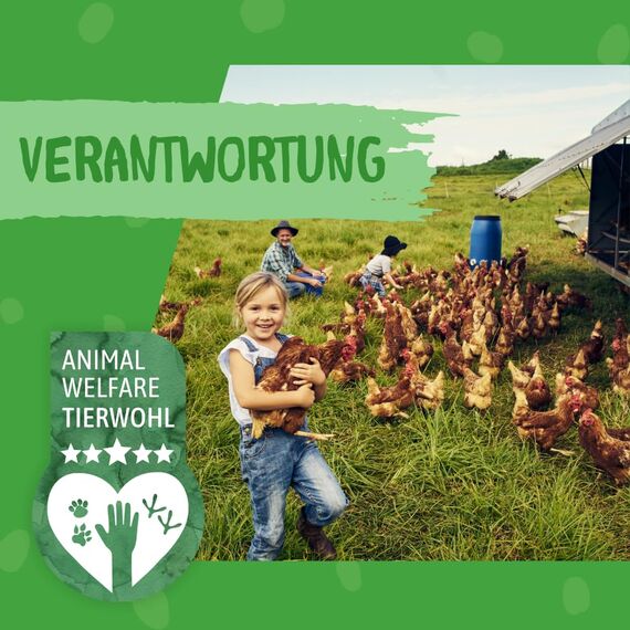 DOKAS Gefriergetrocknete Innereien - Getreidefreies Premium Leckerli für Katzen – Ideal als Belohnung - (6x12g)