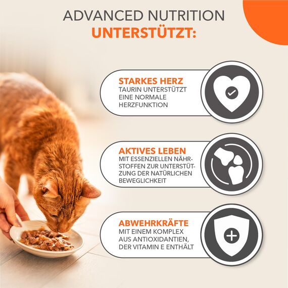 IAMS Delights Land & Sea Collection Senior Katzenfutter Nass - Multipack mit Fleisch und Fisch Sorten in Gelee, Nassfutter für ältere Katzen ab 7 Jahre, 48 x 85 g