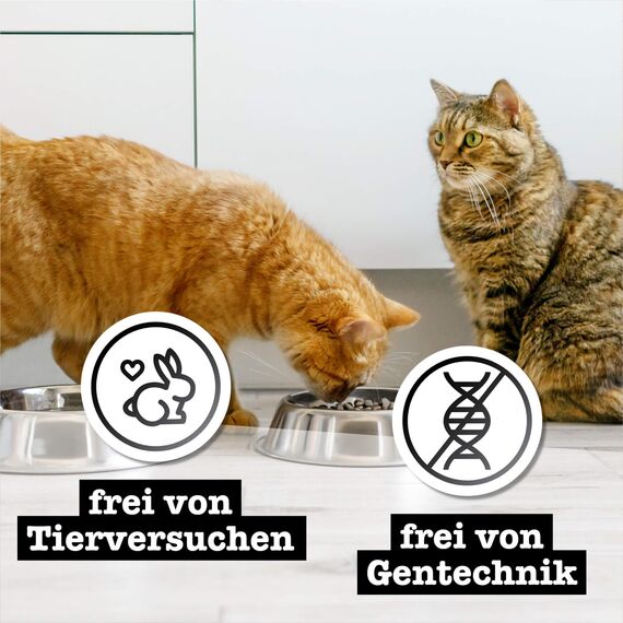 catz finefood Pure Collection Mix-Paket Katzenfutter nass, Gluten- & getreidefrei, ohne Zuckerzusatz, Monoprotein für Sensible Katzen, Made in Germany (24 x 85g)