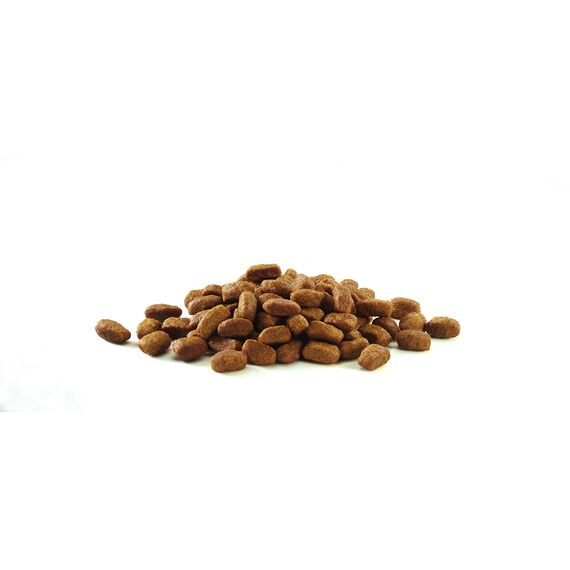 PURINA ONE BIFENSIS Coat and Hairball Katzentrockenfutter: reich an Huhn, für gesunde Haut & Harnwege, schönes Fell, reduziert Haarballenbildung, 3 x 1,5 kg