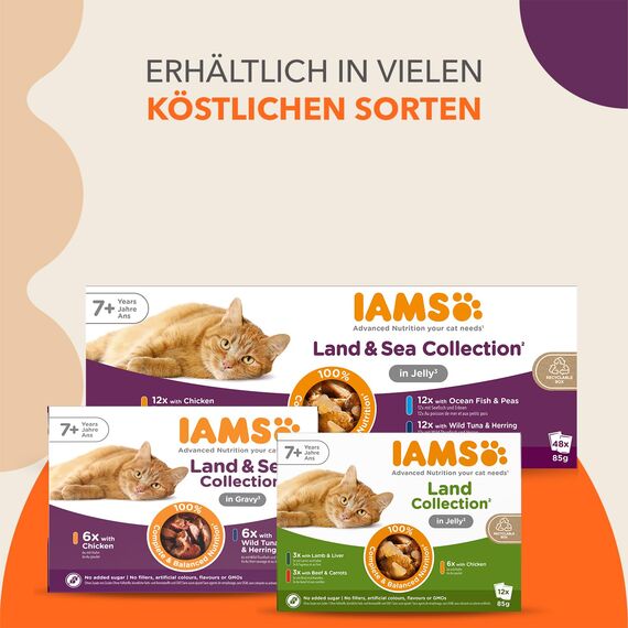 IAMS Delights Land Collection Senior Katzenfutter Nass - Multipack mit Fleisch Sorten (Huhn, Lamm & Rind) in Gelee, Nassfutter für ältere Katzen ab 7 Jahre, 12 x 85g