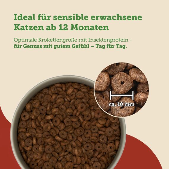 MERA Cats Nature Sensitive Insekt Katzenfutter Trocken 2kg | Mono-Protein, getreidefrei & zuckerfrei | Katzen Trockenfutter hoher Fleischanteil & leicht verdaulich
