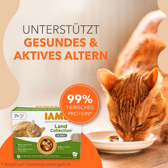IAMS Delights Land Collection Senior Katzenfutter Nass - Multipack mit Fleisch Sorten (Huhn, Lamm & Rind) in Gelee, Nassfutter für ältere Katzen ab 7 Jahre, 12 x 85g