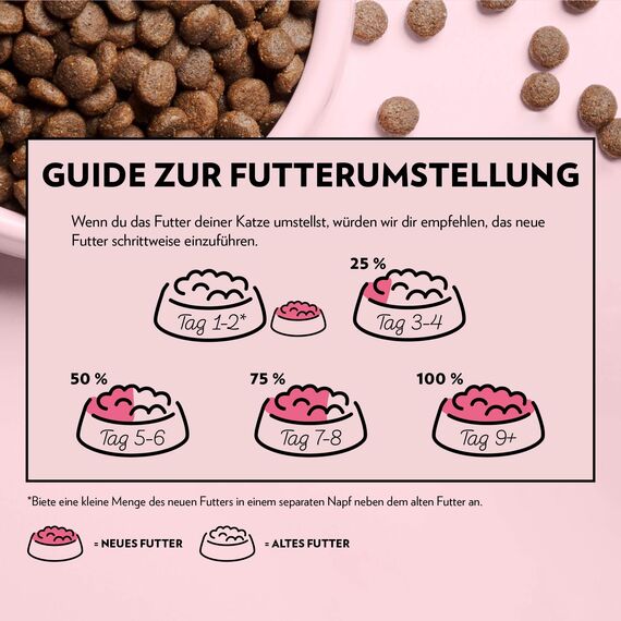 PrimaCat - Trockenfutter für ausgewachsene Hauskatzen, Geschmacksrichtung Lachs, 1,4 kg