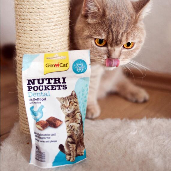GimCat Nutri Pockets Dental - Knuspriger Katzensnack mit cremiger Füllung und funktionalen Inhaltsstoffen - 1 Beutel (1 x 60 g)