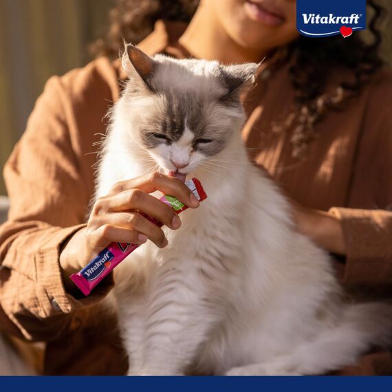 Vitakraft Liquid Snack, Katzen Leckerli, Katzensnack cremig, mit Huhn und Taurin, in einzelnen Sachets, unterstützt die Augen und das Herz (1 Paket mit 6x 15g)