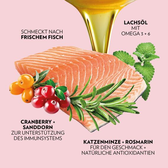 PrimaCat - Trockenfutter für ausgewachsene Hauskatzen, Geschmacksrichtung Lachs, 1,4 kg