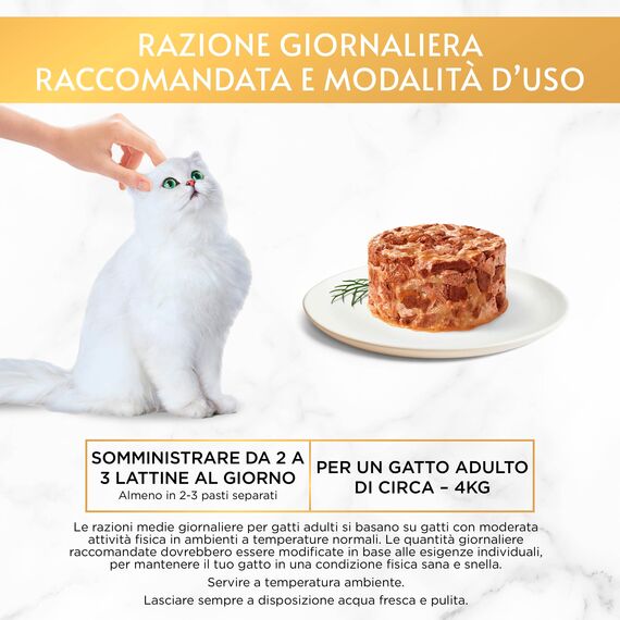 Purina Gourmet Gold Herz weich feucht Katze mit Huhn - 24 Dosen zu je 85g (24x85g) (Packung mit 2)