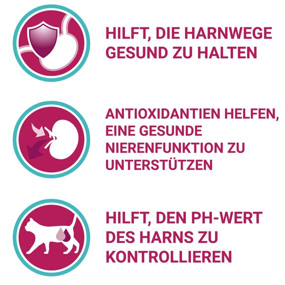 PURINA ONE BIFENSIS Urinary Care Katzentrockenfutter: reich an Huhn & Weizen, für gesunde Harnwege, Nieren, Haut, schönes Fell, 6er Pack (6 x 1.5 kg)