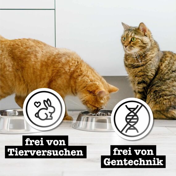 catz finefood PURE Collection Mix-Paket Katzenfutter nass, gluten- & getreidefrei, ohne Zuckerzusatz, Monoprotein für sensible Katzen, Made in Germany (12 x 400g)