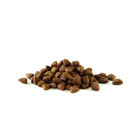 PURINA ONE Coat und Hairball Huhn, 800 g