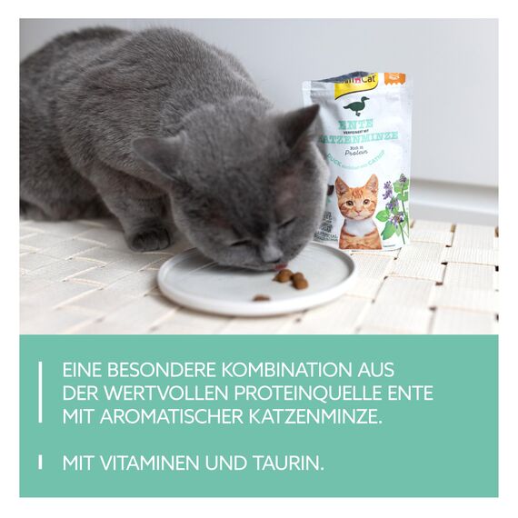 GimCat Crunchy Snacks Ente mit Katzenminze - Knuspriges und proteinreiches Katzenleckerli - 1 Beutel (1 x 50 g)