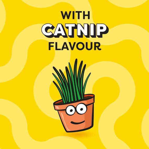 Dreamies Catnip Katzensnacks mit Minze – Traumhaft knusprige Taschen mit zarter Füllung, 2 x 350g