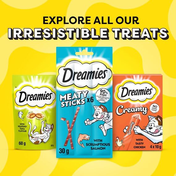 Dreamies Catnip Katzensnacks mit Minze – Traumhaft knusprige Taschen mit zarter Füllung, 2 x 350g