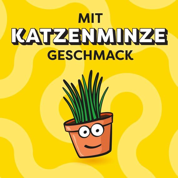 Dreamies Catnip Katzensnacks mit Minze – Traumhaft knusprige Taschen mit zarter Füllung im Mega Pack, 4 x 180g
