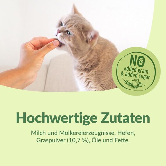 GimCat Gras Bits - Getreidefreier und vitaminreicher Katzensnack mit echtem Gras - 1 Beutel (1 x 425 g)