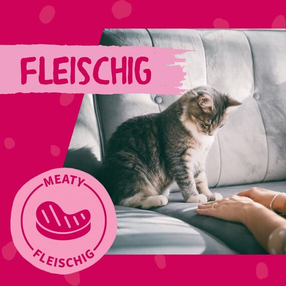 DOKAS Gefriergetrocknete Innereien - Getreidefreies Premium Leckerli für Katzen – Ideal als Belohnung, 6 x 15 g