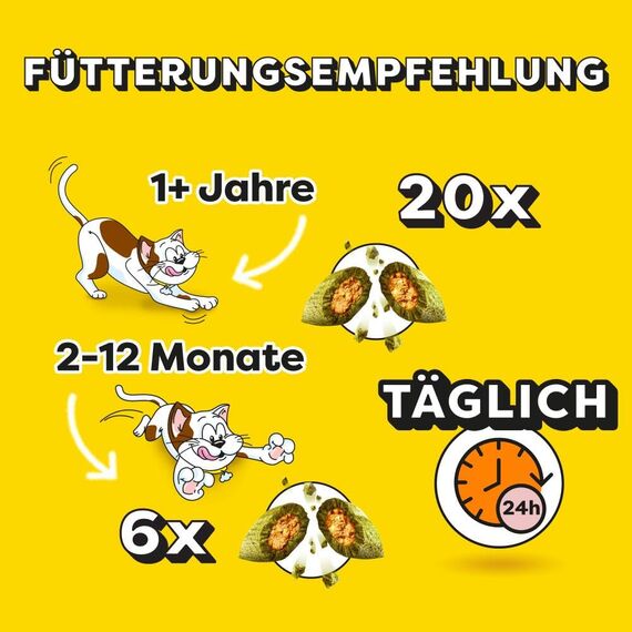 Dreamies Catnip Katzensnacks mit Minze – Traumhaft knusprige Taschen mit zarter Füllung im Mega Pack, 4 x 180g
