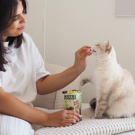 GimCat Nutri Pockets Insekt & Katzenminze - Knuspriger Katzensnack mit funktionalen Inhaltsstoffen - 1 Beutel (1 x 60 g)
