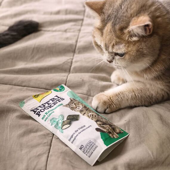 GimCat Nutri Pockets Katzenminze - Knuspriger Katzensnack mit cremiger Füllung und funktionalen Inhaltsstoffen - 1 Beutel (1 x 60 g) (Packung mit 2)