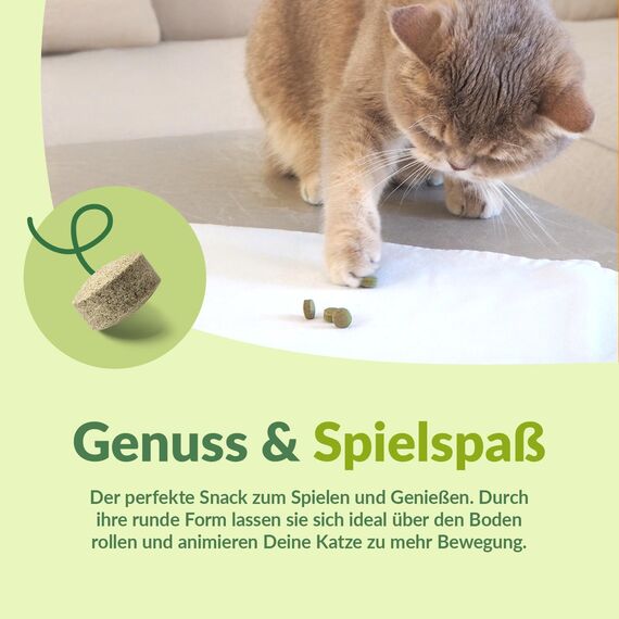 GimCat Gras Bits - Getreidefreier und vitaminreicher Katzensnack mit echtem Gras - 1 Beutel (1 x 425 g)