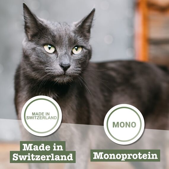 catz finefood Meatz Katzen Leckerlies Pferd N° 15 - knusprige Streifen aus 100 Prozent Pferdefleisch - Katzensnack für Allergiker ohne Zucker, getreidefrei (1 x 45 g)