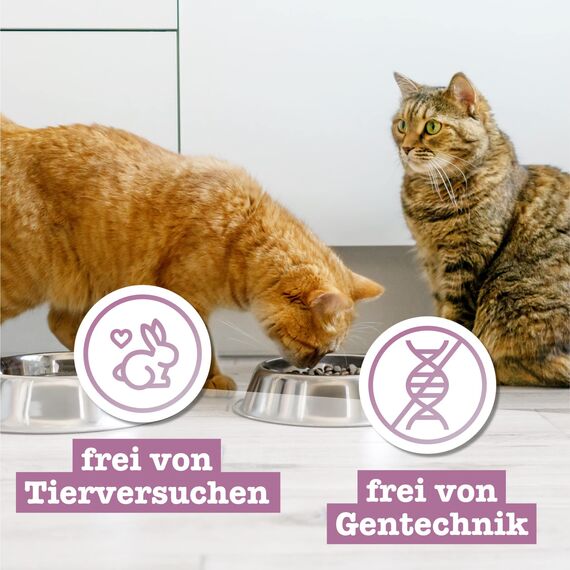 catz finefood Meatz Katzen Leckerlies Kaninchen N° 11 - knusprige Streifen aus Kaninchenfleisch - gegrillt und getrocknet - Katzensnack ohne Zucker, getreidefrei, 45g (Packung mit 2)
