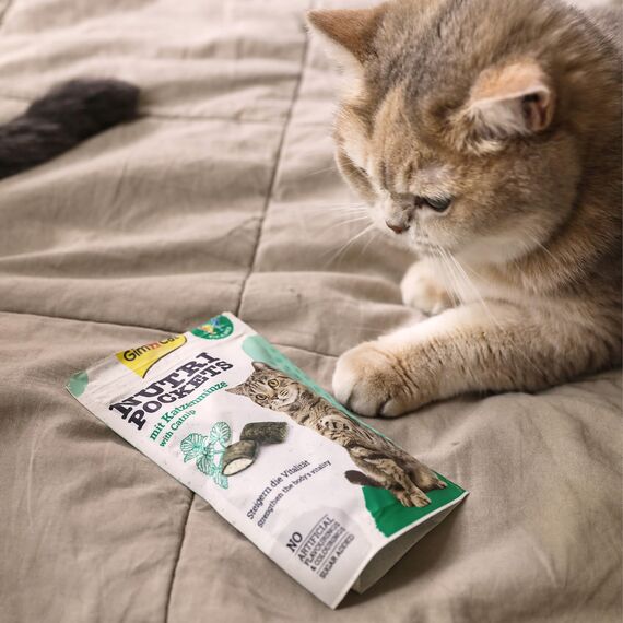 GimCat Nutri Pockets Katzenminze - Knuspriger Katzensnack mit cremiger Füllung und funktionalen Inhaltsstoffen - 1 Beutel (1 x 60 g)