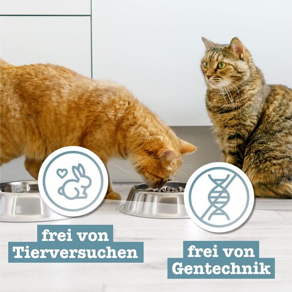 catz finefood Meatz Katzen Leckerlies Känguru N° 13 - knusprige Streifen aus 100 Prozent Kängurufleisch - Katzensnack für Allergiker ohne Zucker, getreidefrei, 45g (Packung mit 3)