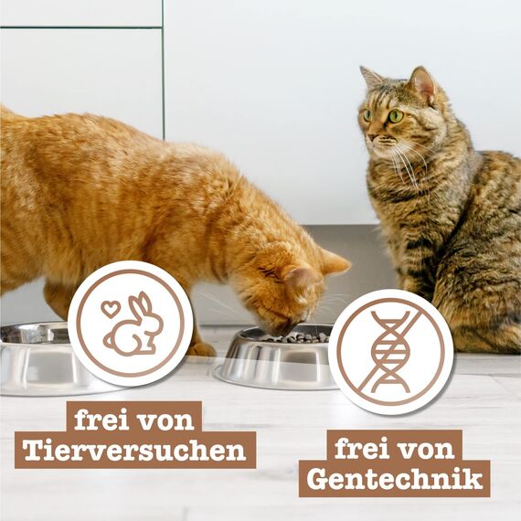catz finefood Meatz Katzen Leckerlies Hirsch N° 9 - knusprige Streifen aus Hirschfleisch - gegrillt und getrocknet - Katzensnack ohne Zucker, getreidefrei, 45g (Packung mit 3)