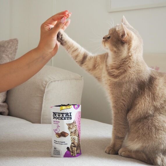 GimCat Nutri Pockets mit Ente - Knuspriger Katzensnack mit cremiger Füllung und funktionalen Inhaltsstoffen - 1 Beutel (1 x 60 g)