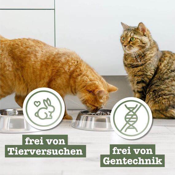 catz finefood Meatz Katzen Leckerlies Pferd N° 15 - knusprige Streifen aus 100 Prozent Pferdefleisch - Katzensnack für Allergiker ohne Zucker, getreidefrei (1 x 45 g) (Packung mit 3)