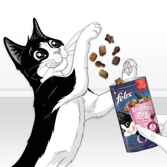 Felix KnabberMix Picnic Party Katzensnack, Knusper-Leckerlie mit 3 Geschmacksrichtungen, 8er Pack (8 x 60g)