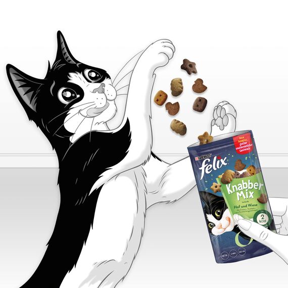 Felix KnabberMix Hof und Wiese Katzensnack, Knusper-Leckerlie mit 3 Geschmacksrichtungen, 8er Pack (8 x 60g)