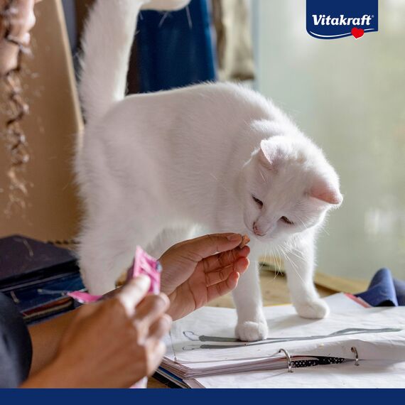 Vitakraft Crispy Crunch Classic, Katzen Leckerli, knuspriger Katzensnack gefüllt mit Lachs, im wiederverschließbaren Beutel, ohne Zusatz von Zucker (1x 60g)
