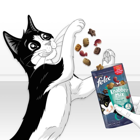 Felix KnabberMix Strandspaß Katzensnack, Knusper-Leckerlie mit Fisch-Geschmack, 8er Pack (8 x 60g)
