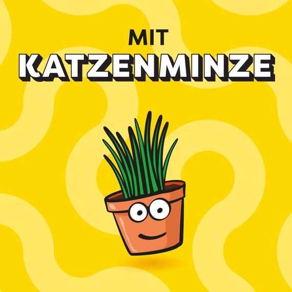DREAMIES Creamy mit Katzenminze und Käse, 7x12x10g Multipack - Cremige Katzenleckerlis für verwöhnte Katzen