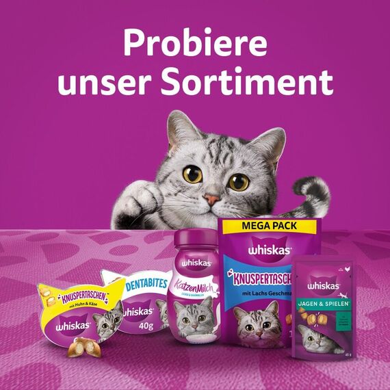Whiskas Pounce & Play Katzensnacks im Portionsbeutel für ausgewachsene Katzen mit Huhn 8x45g