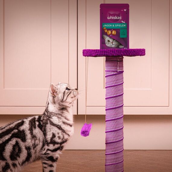 Whiskas Pounce & Play Katzensnacks im Portionsbeutel für ausgewachsene Katzen mit Huhn 8x45g