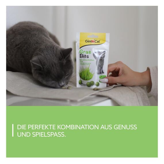 GimCat Gras Bits - Getreidefreier und vitaminreicher Katzensnack mit echtem Gras - 8er Pack (8 x 40 g)