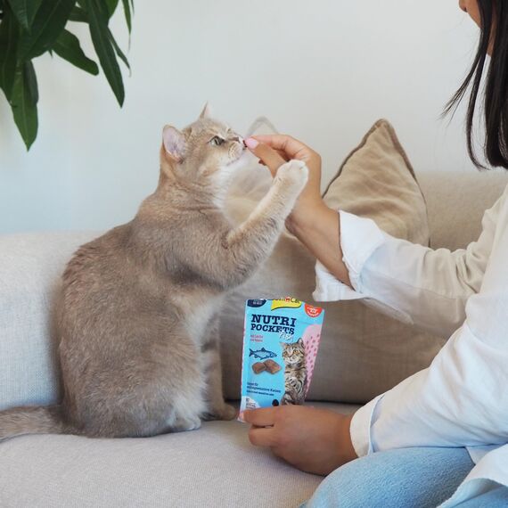 GimCat Nutri Pockets Fisch Lachs - Knuspriger Katzensnack mit funktionalen Inhaltsstoffen - 1 Beutel (1 x 60 g)