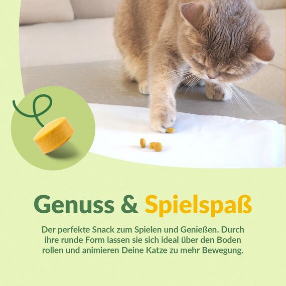 GimCat Käse Rollis - Getreidefreier und vitaminreicher Katzensnack mit echtem Hartkäse - 6er Pack (6 x 140 g)