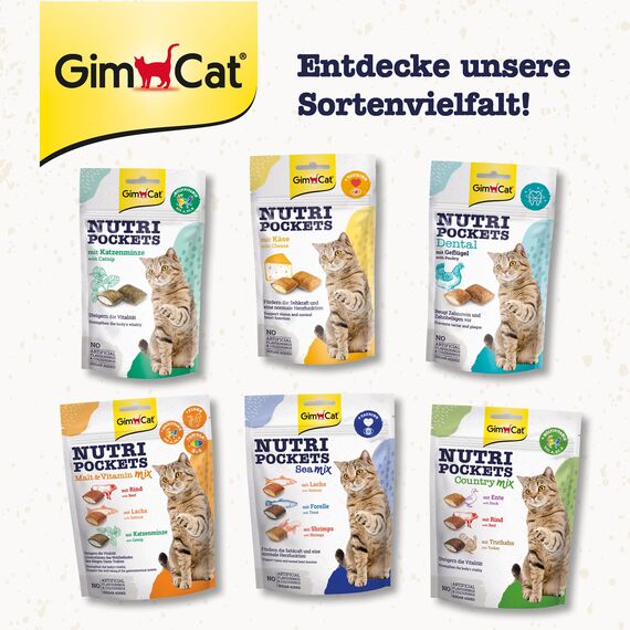 GimCat Nutri Pockets Fisch Lachs - Knuspriger Katzensnack mit funktionalen Inhaltsstoffen - 1 Beutel (1 x 60 g) (Packung mit 2)