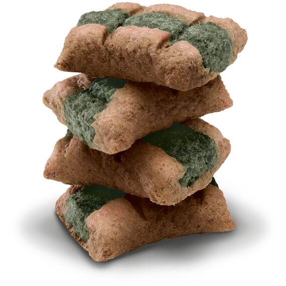 Vitakraft - YUMS Katze, saftiger Snack für Katzen mit Huhn und Katzengras - 40 g (Packung mit 3)
