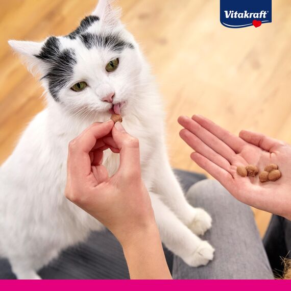 Vitakraft Triggles, Katzensnack, mit Seelachs, portionierbar in DREI Häppchen, ideal als Belohnung oder Training, ohne Zuckerzusatz (1x 40g) (Packung mit 2)