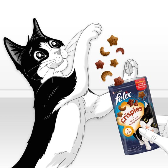 Felix Crispies Katzensnack, Knusper-Leckerlie mit Rind- und Huhngeschmack 8er Pack (8 x 45g)