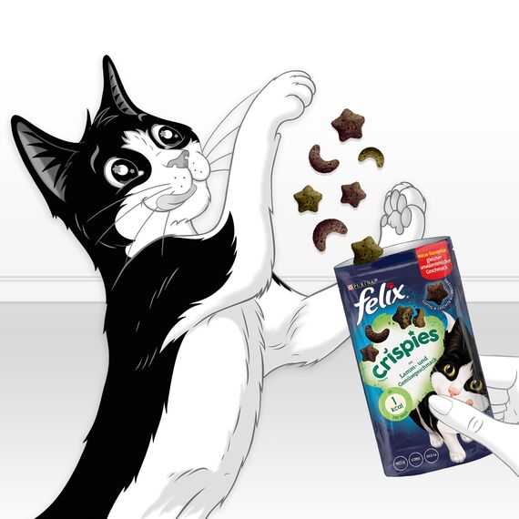 Felix Crispies Katzensnack, Knusper-Leckerlie mit Lamm- und Gemüsegeschmack, 8er Pack (8 x 45g)