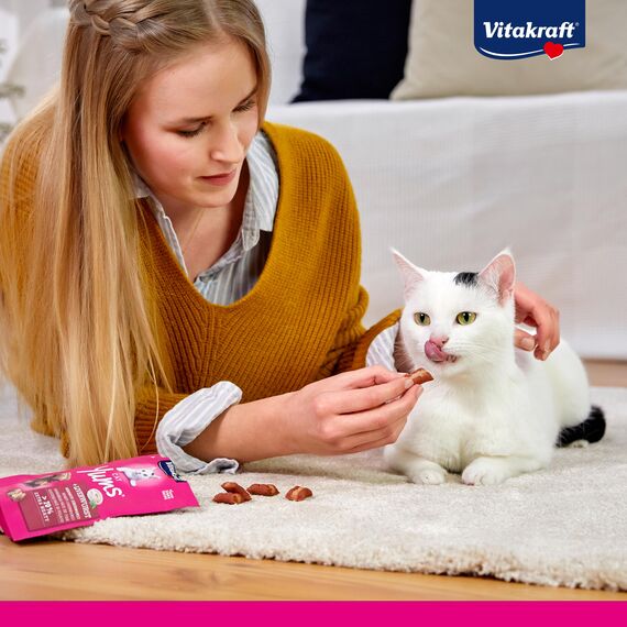 Vitakraft Cat YUMS, Katzensnack, mit herzhafter Leberwurst, extra fleischig, mit sichtbarer Füllung, im wiederverschließbaren Beutel (1x 40g) (Packung mit 2)